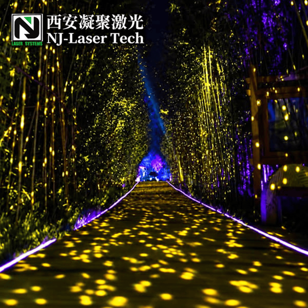 Firefly Laser Light