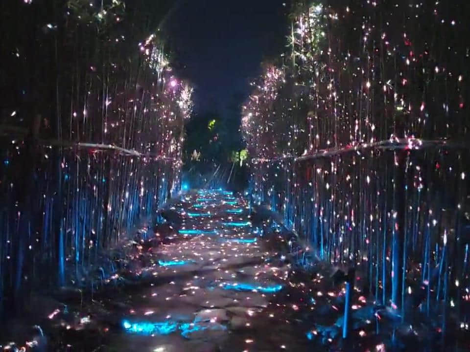 Nanbei Lake scenic area laser lighting project featuring illuminated architecture and blue landscape light effects in Jiaxing China Nanbei Lake scenic area laser lighting project featuring illuminated architecture and blue landscape light effects in Jiaxing China