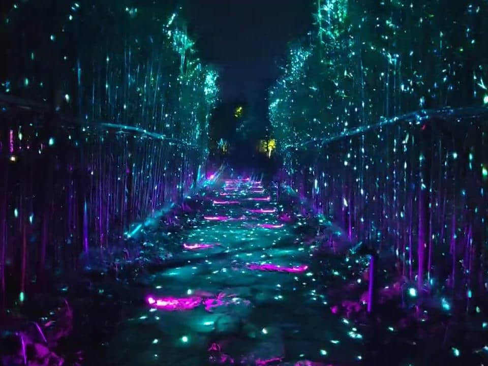 Nanbei Lake scenic area laser lighting project featuring illuminated architecture and blue landscape light effects in Jiaxing China Nanbei Lake scenic area laser lighting project featuring illuminated architecture and blue landscape light effects in Jiaxing China