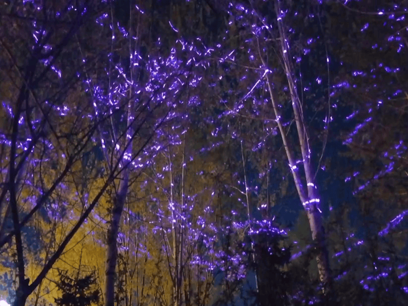 Yulin Urban Tree Laser Lighting Project