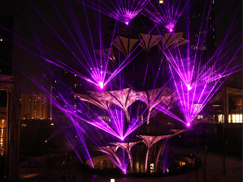 Xi'an Tree of Life Laser Show Project