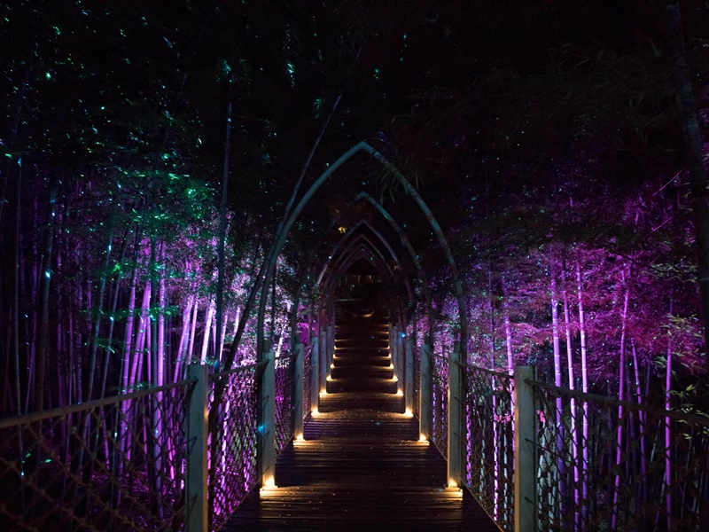Moganshan Outdoor Laser Show Project