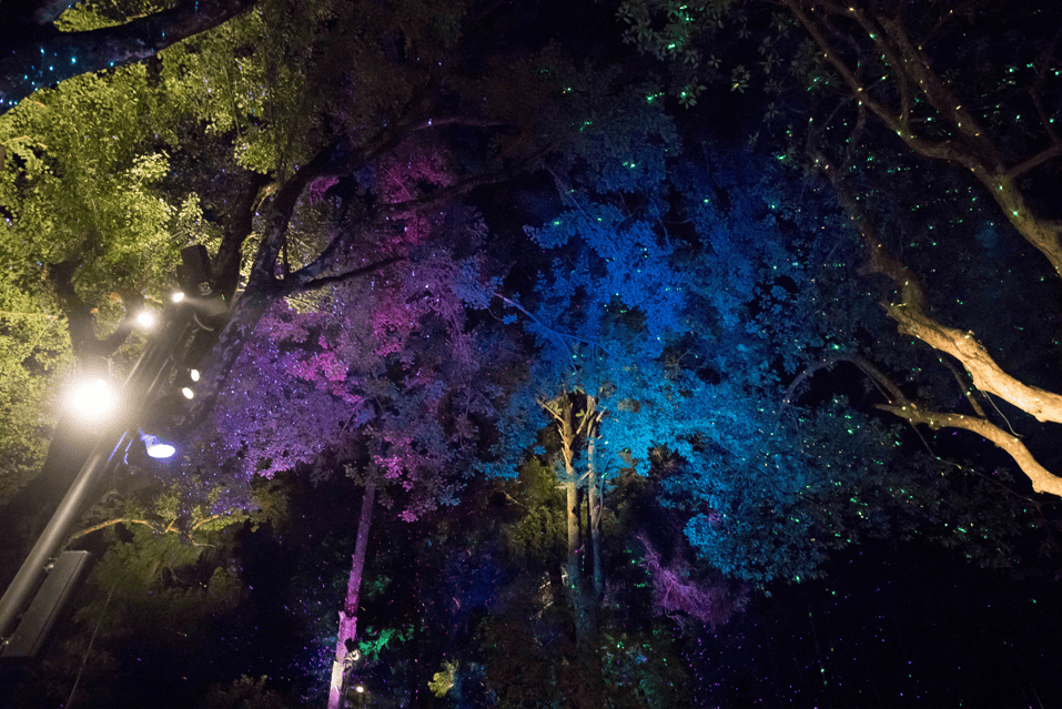 Outdoor laser show lighting effects at Moganshan scenic area in Deqing, Zhejiang, China