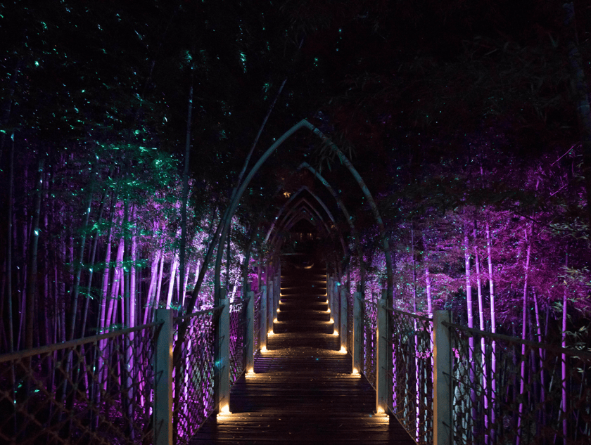 Outdoor laser show lighting effects at Moganshan scenic area in Deqing, Zhejiang, China