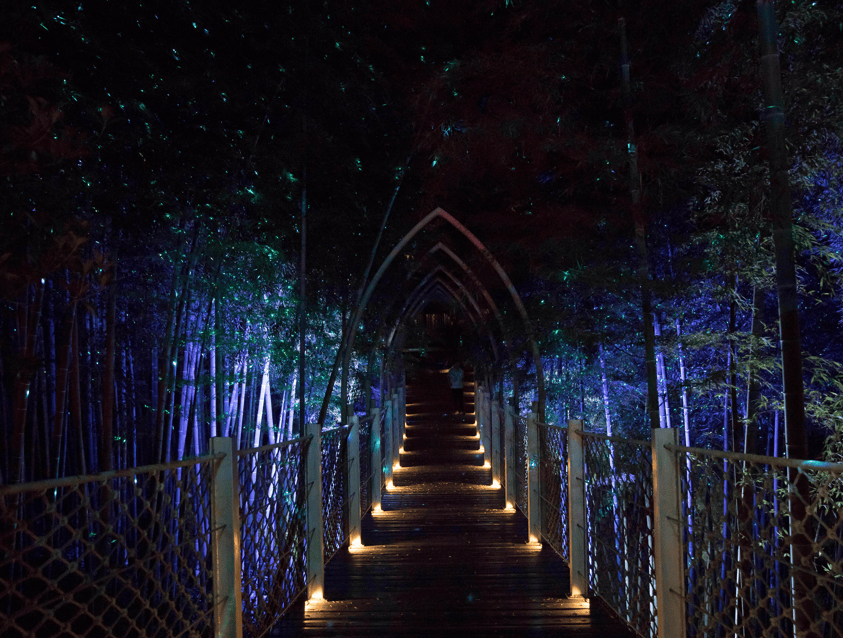 Outdoor laser show lighting effects at Moganshan scenic area in Deqing, Zhejiang, China