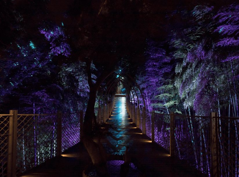 Outdoor laser show lighting effects at Moganshan scenic area in Deqing, Zhejiang, China